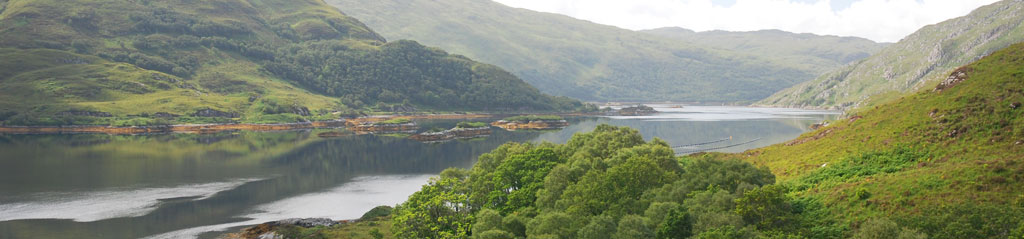 See in Irland
