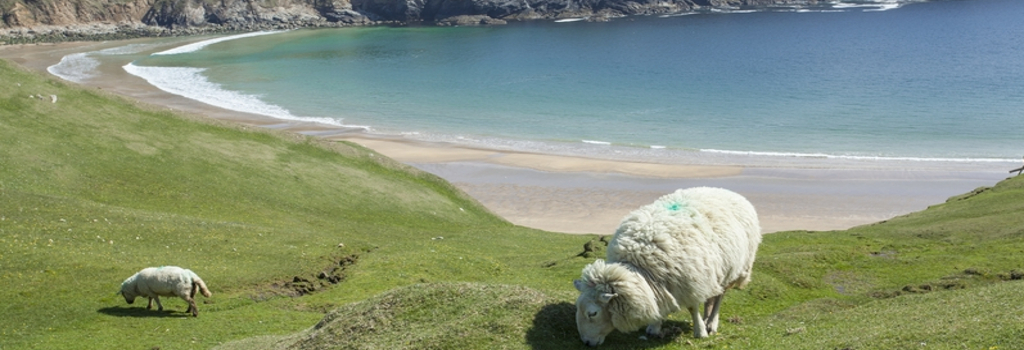 Dingle Halbinsel